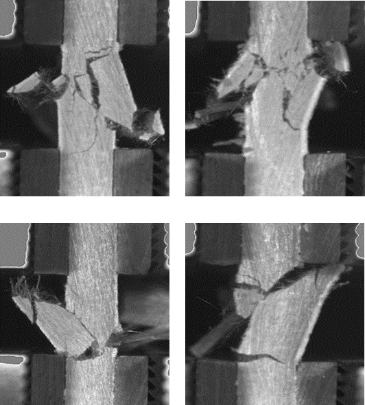 Characterization Image 26